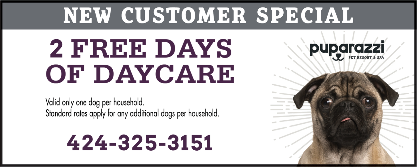 Dogs daycare and store spa