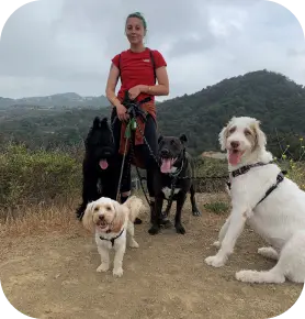 Dog Hiking Services 2